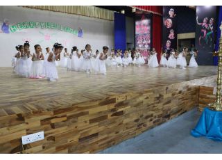 Annual Cultural Meet 2017-2018
